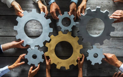 Using Executive Assessments to Identify and Develop Future Leaders